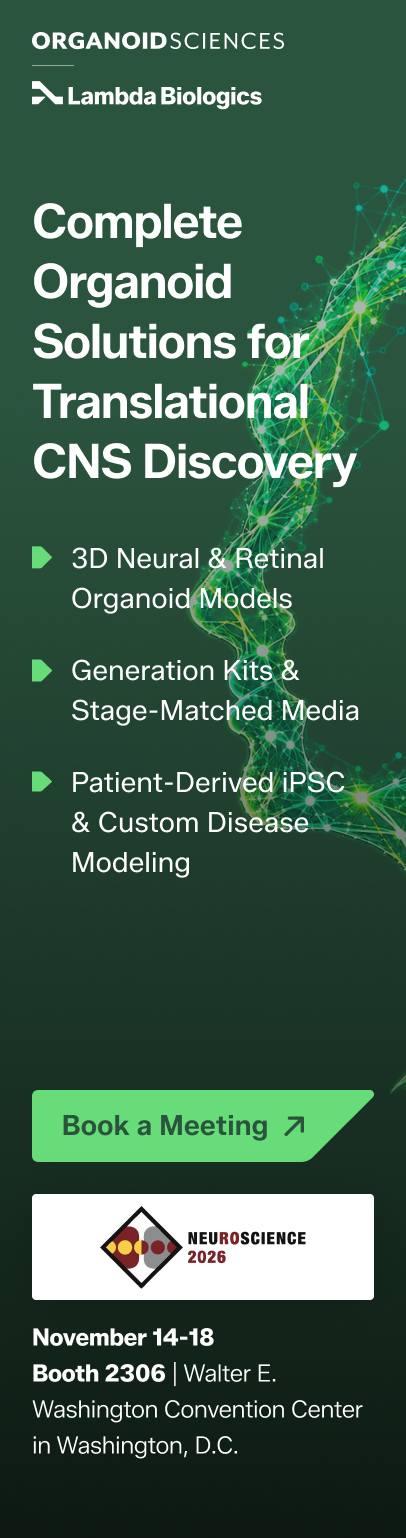 Complete Organoid Solutions for Translational CNS Discovery