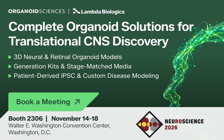 Complete Organoid Solutions for Translational CNS Discovery